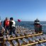  Más de 140 marinos serán parte del dispositivo de seguridad que se desplegará durante la fiesta de Año Nuevo en el Mar  