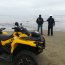  Ballena de 8 metros varó en playa de Tongoy y Armada trabaja en maniobras de rescate  
