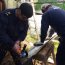  Personal naval reparó vivienda de anciana de 70 años en Puerto Chacabuco  