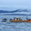  Armada y Sernapesca decomisaron 2 toneladas de erizo  