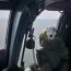  Con Helicóptero y Unidades Navales se busca a tripulante desaparecido en el Golfo de Ancud  