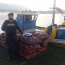  Autoridad Marítima de Quemchi incautó 1,8 toneladas de recurso cholga  