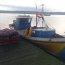  Autoridad Marítima de Quemchi incautó 1,8 toneladas de recurso cholga  