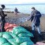  Autoridad Marítima incautó 140 sacos de almeja  