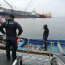  Autoridad Marítima y Sernapesca logran incautar 1.200 kilos de jurel  