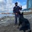  Autoridad Marítima de Punta Arenas recibe al primer perro que ayudará en la lucha antinarcóticos  
