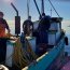  Autoridad Marítima incautó 300 kilos de erizo en el sur  