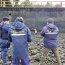  Personal de la Armada y SERNAPESCA realizan rescate a lobo marino en Ancud  