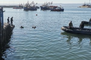 500 kilos de desecho fueron retirados desde el fondo marino en sector La Poza de Talcahuano