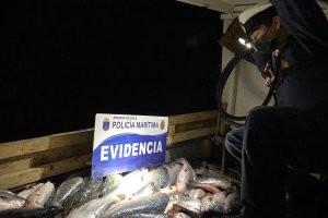 Capitanía de Puerto de Quellón efectuó procedimiento por más de 9 toneladas de salmón robado