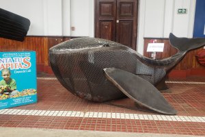 Museo Marítimo Nacional inaugura nuevo contenedor de tapitas plásticas