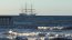  Majestuoso desfile naval dará inicio a Velas Latinoamérica 2022 en Punta Arenas  
