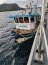  Armada incautó ocho toneladas de recurso almeja en embarcación proveniente de Calbuco  