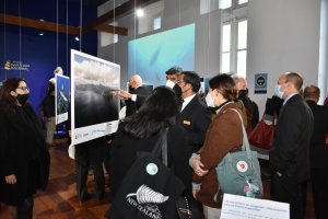 Museo Marítimo Nacional y Oceana Chile celebran el Día Mundial de los Océanos con nueva exposición