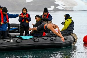 La “Sirena de Hielo” rompe récord en el Territorio Chileno Antártico