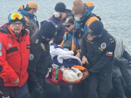 Armada apoyó evacuación médica de pasajera a bordo de crucero en Territorio Chileno Antártico 